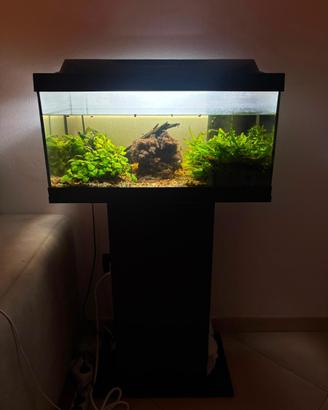 Acquario Tetra 54 litri con mobile