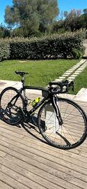 Bici da Carbono Pinarello Marvel