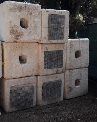 casseri in polistirolo