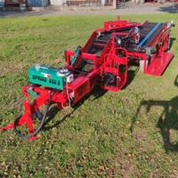 Raccoglitrice scava patate e c Carlotti come nuova