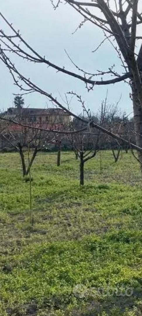 3 lotti terreno 1200+1200+16.luno - Altro
