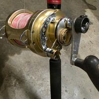 Mulinello Tica 30 Wts 2 speed 