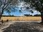 Immagine 29