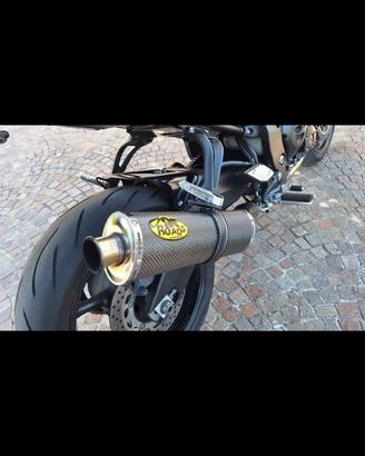 Terminale di scarico FZ8