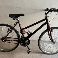 Mountain bike ragazzo/a