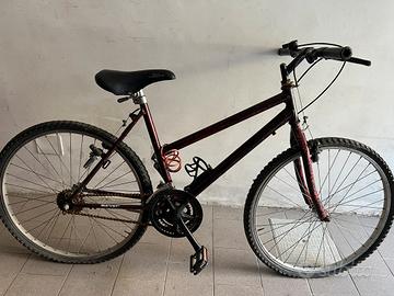 Mountain bike ragazzo/a