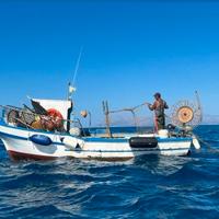 Barca per pesca
