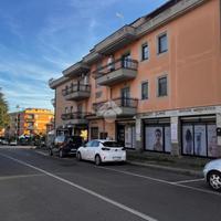 ATTIVITÀ A GENZANO DI ROMA