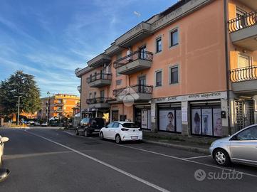 ATTIVITÀ A GENZANO DI ROMA