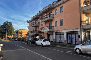 ATTIVITÀ A GENZANO DI ROMA