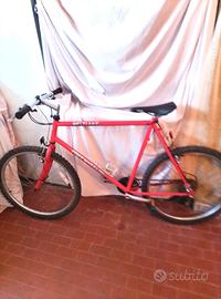 Mountain bike
