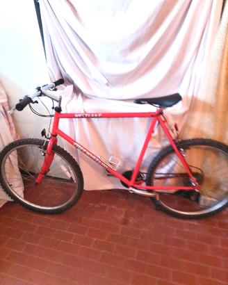 Mountain bike