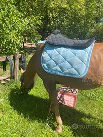 Coperte e accessori cavallo quarter horse