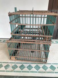 gabbie per tordi e cesene