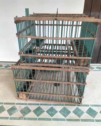 gabbie per tordi e cesene