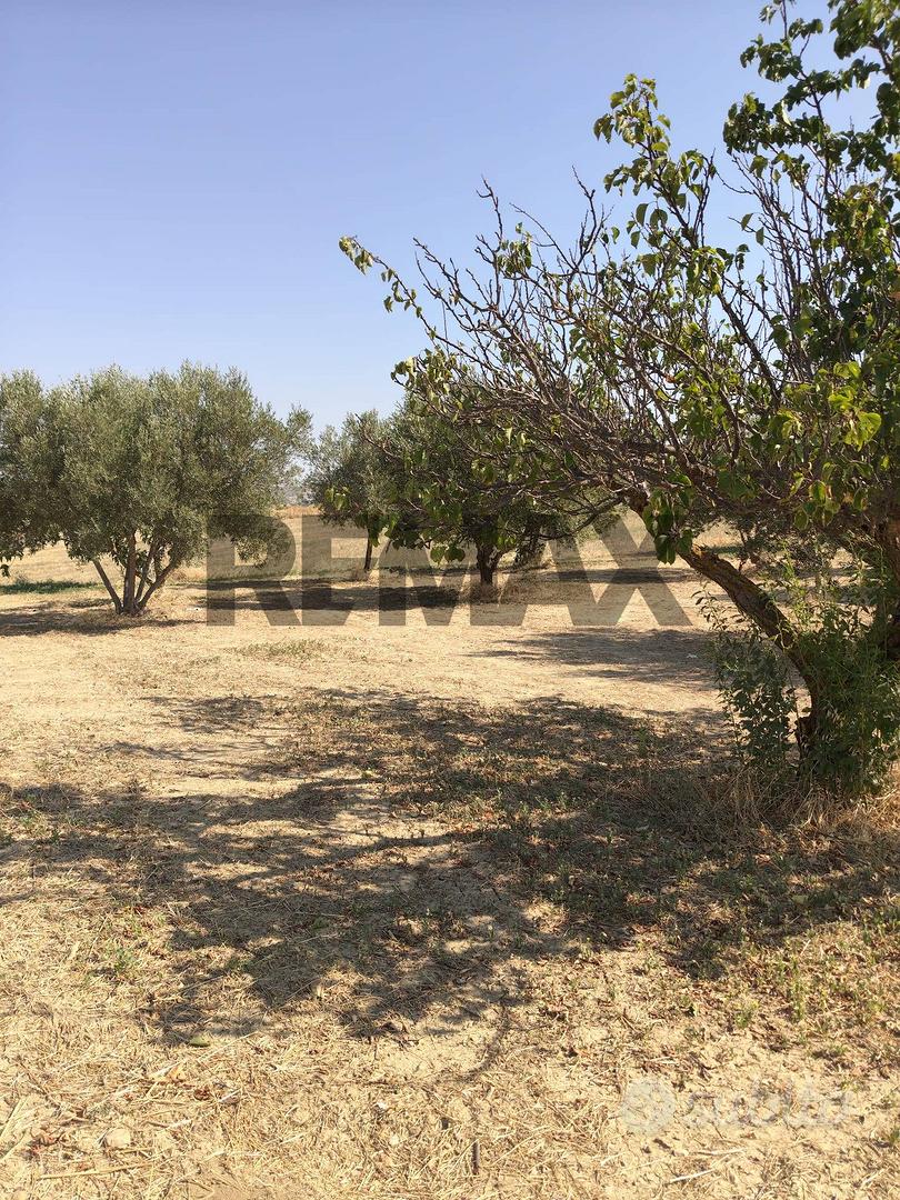 Terreno - Caltagirone - Vista 2