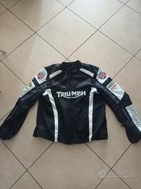 giubbino triumph