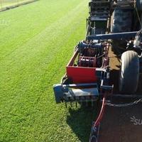 Prato pronto olimpico Roma