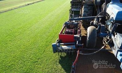 Prato pronto olimpico Roma