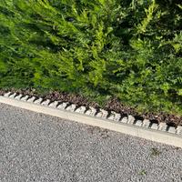 Bordo - bordura per aiuole e prati