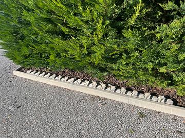 Bordo - bordura per aiuole e prati