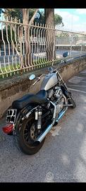 Harley Davidson sportster 1200 