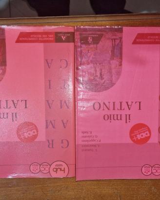 Il mio latino grammatica + laboratorio 1