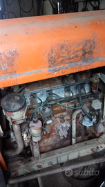Trattore fiat 312 benzina
