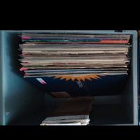 dischi in vinile - vario genere - lotto / singoli