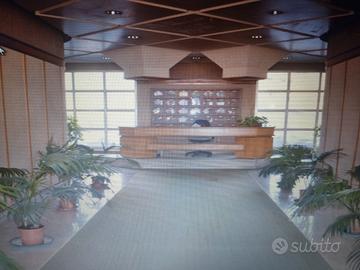 Luminoso 4 vani arredato