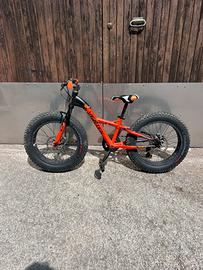 Bicicletta vertek fat bike da bambino