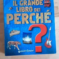 Libri Giunti Junior
