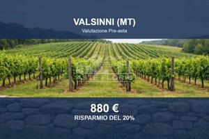 Immobile in asta di 3674 m² a Valsinni