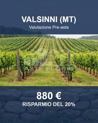 Immobile in asta di 3674 m² a Valsinni