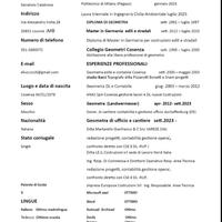 Project Management Responsabile di Commessa