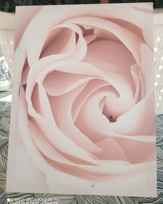 quadro rosa per cameretta