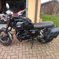 mash black seven 250 