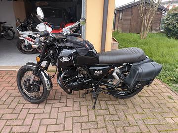 mash black seven 250 