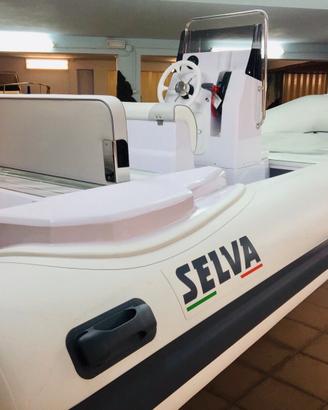 D540 Evo. Line +  Dorado XSR 40 CV - (NEW 2026)