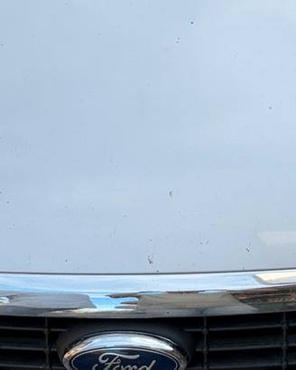 Fari Ford focus Mk2