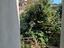 Immagine 25