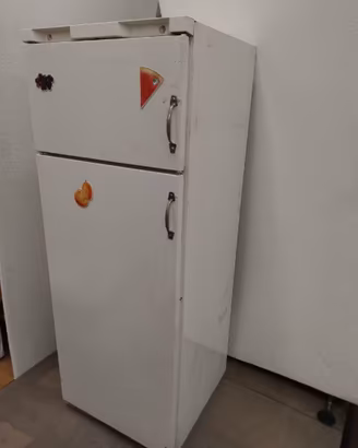 frigo