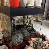Acquario 200 Litri
