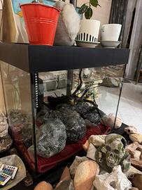 Acquario 200 Litri