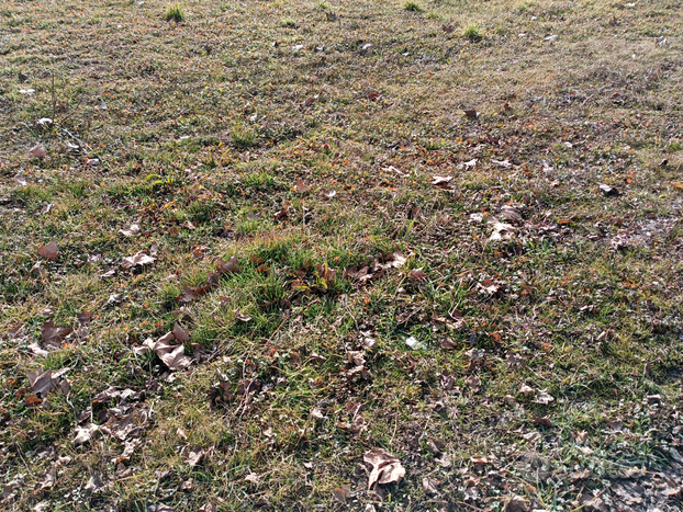 Terreno agricolo fronte strada