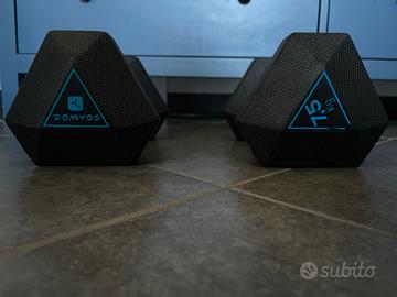 Coppia manubri palestra 15 kg totali