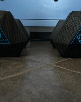 Coppia manubri palestra 15 kg totali