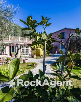 Villa di 300 m² con più di 5 locali a Massarosa