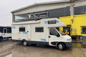 Ci International INTERNAZIONAL PEGASO