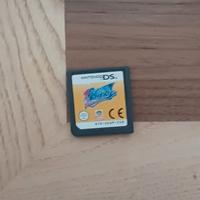 gioco nintendo ds